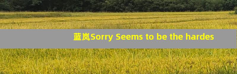 蓝岚Sorry Seems to be the hardest word歌词